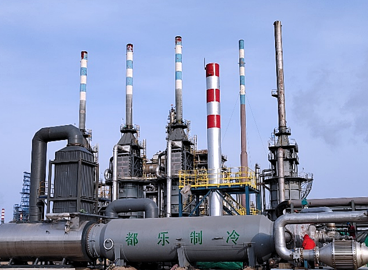 山東壽光魯清石化有限公司VOCs治理項目